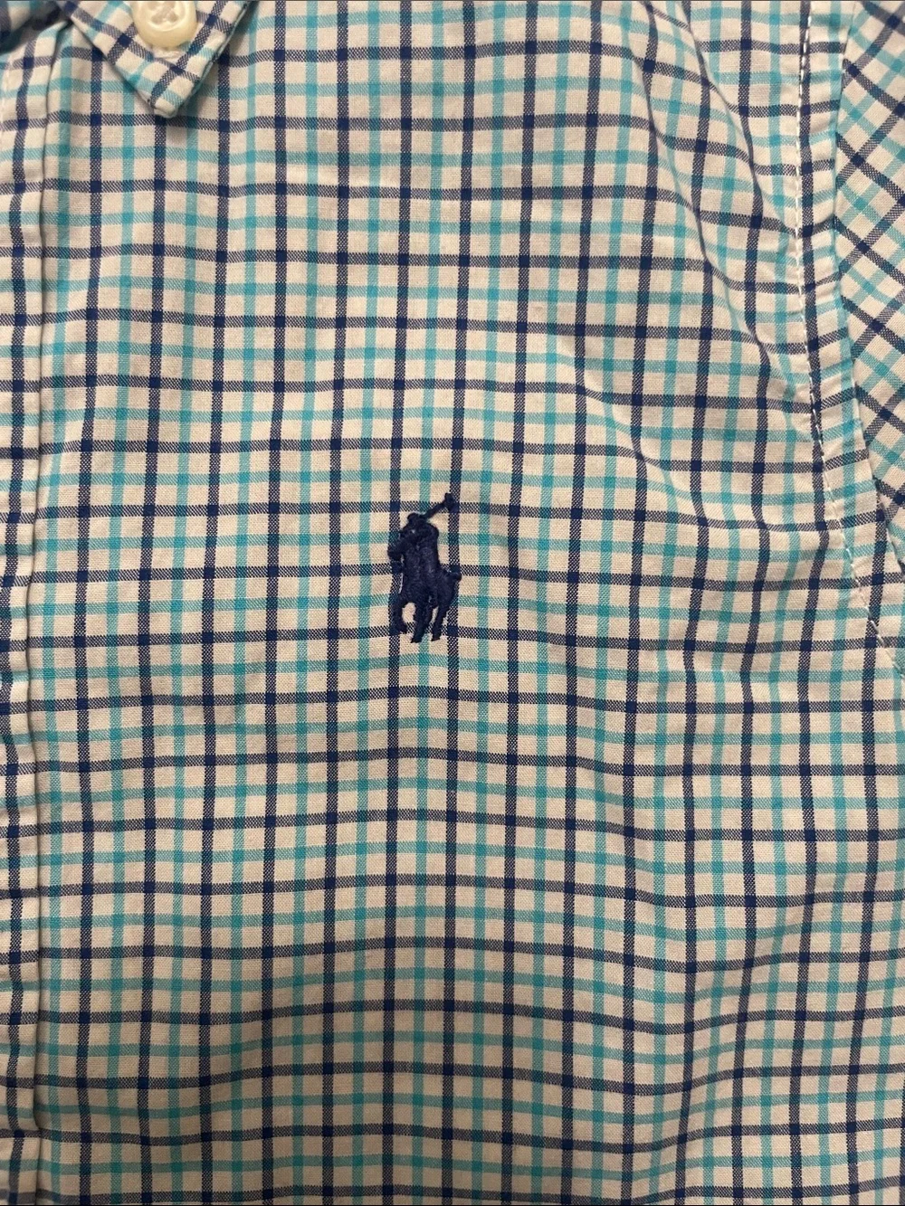 Polo by Ralph Lauren Green and Blue Check Button-Down Shirt